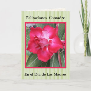 Feliz Navidad Comadre Kaart