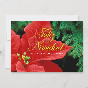 Feliz Navidad - de Rode boog van Poinsettia en van Feestdagenkaart