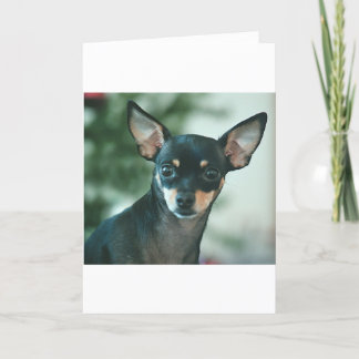 Feliz Navidad Feestdagen Kaart