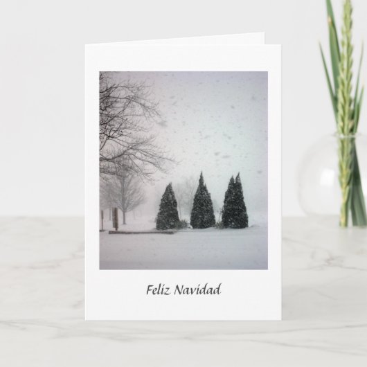 Feliz Navidad Kaart (Voorkant)