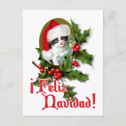 Feliz Navidad - Kerstkeuken Feestdagenkaart (Voorkant)