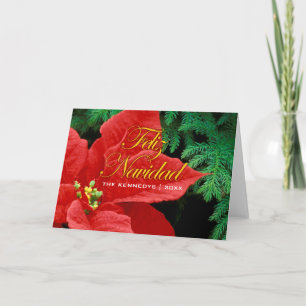 Feliz Navidad - Red Poinsettia en Fir Bow Feestdagen Kaart