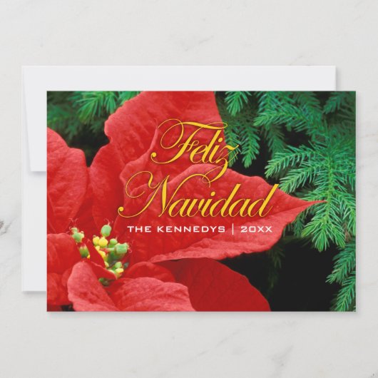 Feliz Navidad - Rode Poinsettia en Fir Bow Feestdagenkaart (Voorkant)