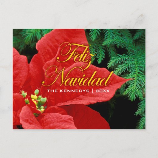Feliz Navidad - Rode Poinsettia en Fir Bow Feestdagenkaart (Voorkant)