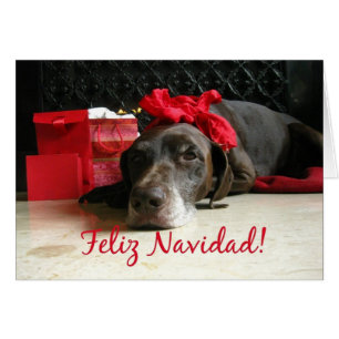 Feliz Navidad Spaanse kerstkaart