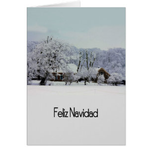 Feliz Navidad Spaanse kerstkaart