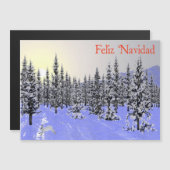 Feliz Navidad - Winter Solstice (Voorkant / Achterkant)