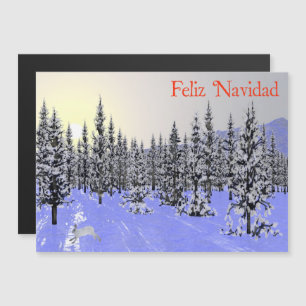 Feliz Navidad - Winter Solstice
