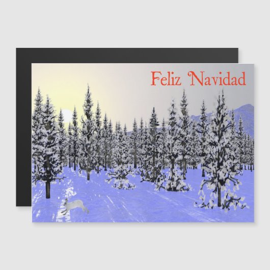 Feliz Navidad - Winter Solstice (Voorkant / Achterkant)