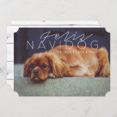 Feliz Navidog | Vakantie foto Feestdagenkaart (Voorkant / Achterkant)