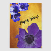 Feliz Primavera (Voorkant)