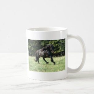 Fell Pony Stallion Koffiemok