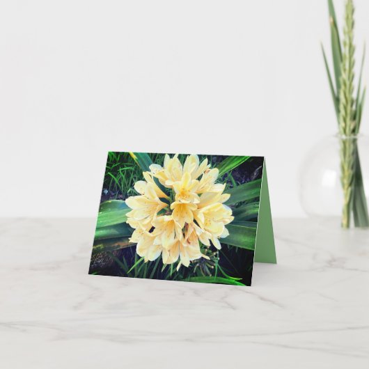Felle Bloemen Kaart  (Voorkant)
