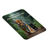 Felle Feline Vrienden op de Prowl Magneet (Rechterzijde)
