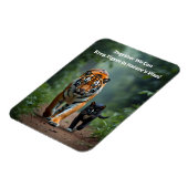 Felle Feline Vrienden op de Prowl Magneet (Linkerzijde)