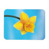 Felle Gele Narcis Magneet (Horizontaal)