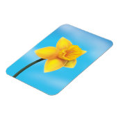 Felle Gele Narcis Magneet (Linkerzijde)