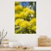Felle Gele Wattleboom Poster (Keuken)