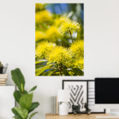 Felle Gele Wattleboom Poster (Thuiskantoor)