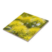 Felle Gele Wattleboom Tegeltje (Zijkant)