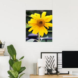 Felle Gele Zonnebloem Poster