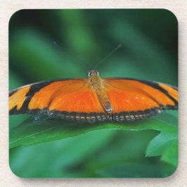 Felle oranje en zwarte vlinder op blad bier onderzetter