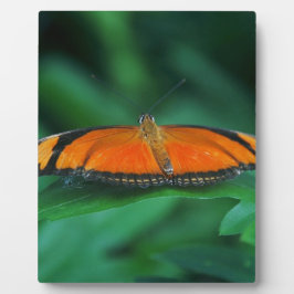 Felle oranje en zwarte vlinder op blad fotoplaat