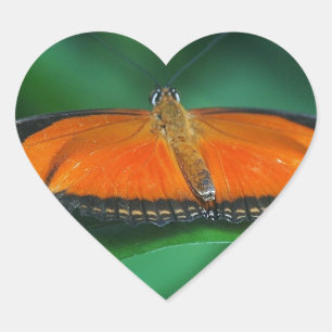 Felle oranje en zwarte vlinder op blad hart sticker