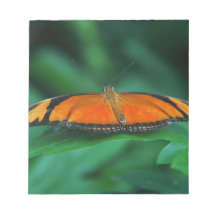 Felle oranje en zwarte vlinder op blad