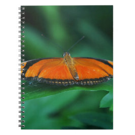 Felle oranje en zwarte vlinder op blad notitieboek