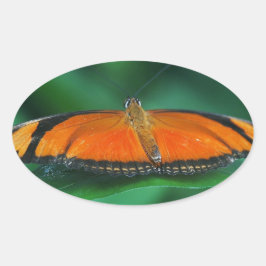 Felle oranje en zwarte vlinder op blad ovale sticker