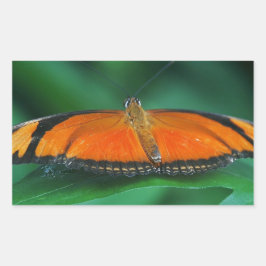 Felle oranje en zwarte vlinder op blad rechthoekige sticker