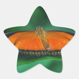 Felle oranje en zwarte vlinder op blad ster sticker