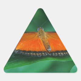 Felle oranje en zwarte vlinder op blad sticker