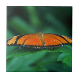 Felle oranje en zwarte vlinder op blad tegeltje