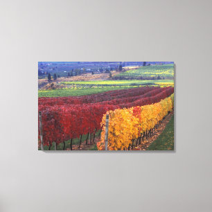 Felle rode en gele herfstkleuren op Gehring Canvas Afdruk