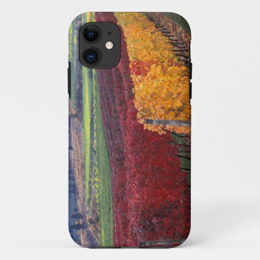 Felle rode en gele herfstkleuren op Gehring Case-Mate iPhone Case (Achterkant)