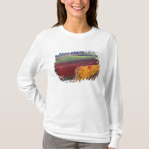 Felle rode en gele herfstkleuren op Gehring T-shirt