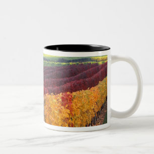 Felle rode en gele herfstkleuren op Gehring Tweekleurige Koffiemok