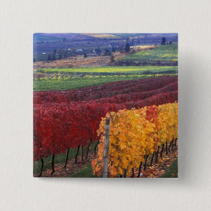 Felle rode en gele herfstkleuren op Gehring Vierkante Button 5,1 Cm