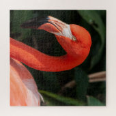 Felle Roze Flamingo Legpuzzel (Horizontaal)