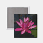 Felle roze lotus waterlelie magneet (Voorkant / Achterkant)