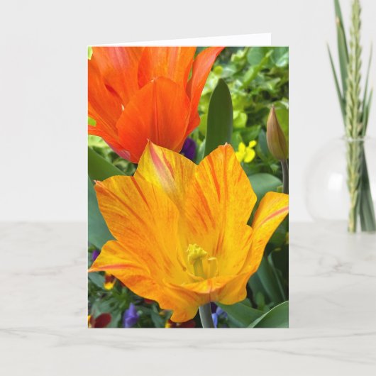 Felle Tulpen Lege Notitiekaart (Voorkant)