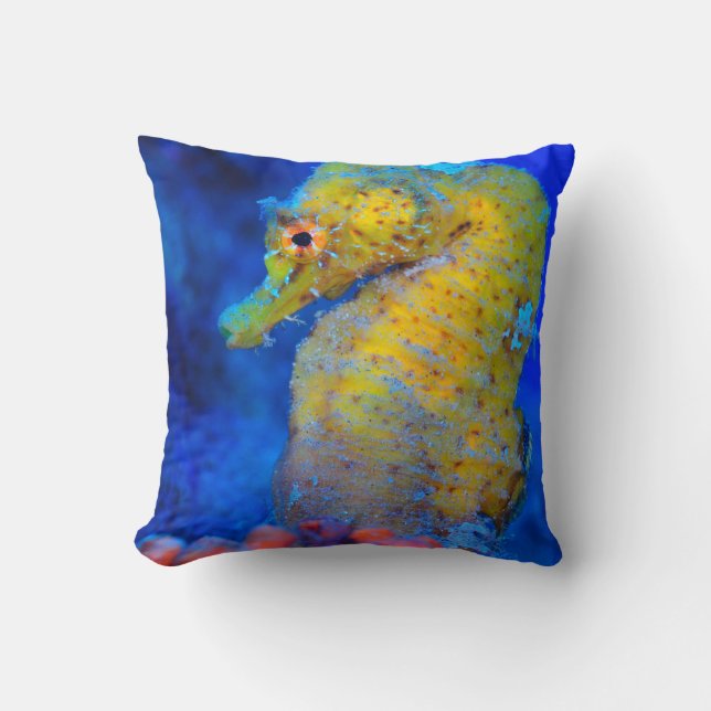 Felle zeepaard | Hippocampus Kussen (Voorkant)
