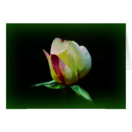 "Fellowship on the path"