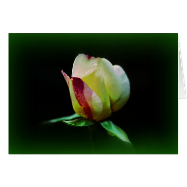 "Fellowship on the path" (Voorkant Horizontaal)