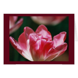 "Fellowship on the path"