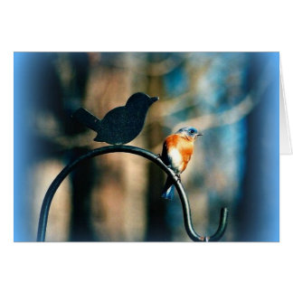 "Fellowship on the path"