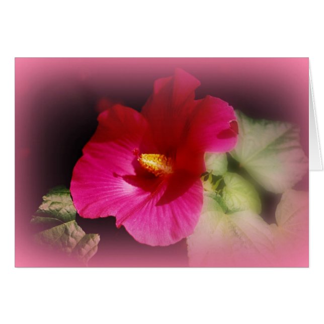 "Fellowship on the path" (Voorkant Horizontaal)