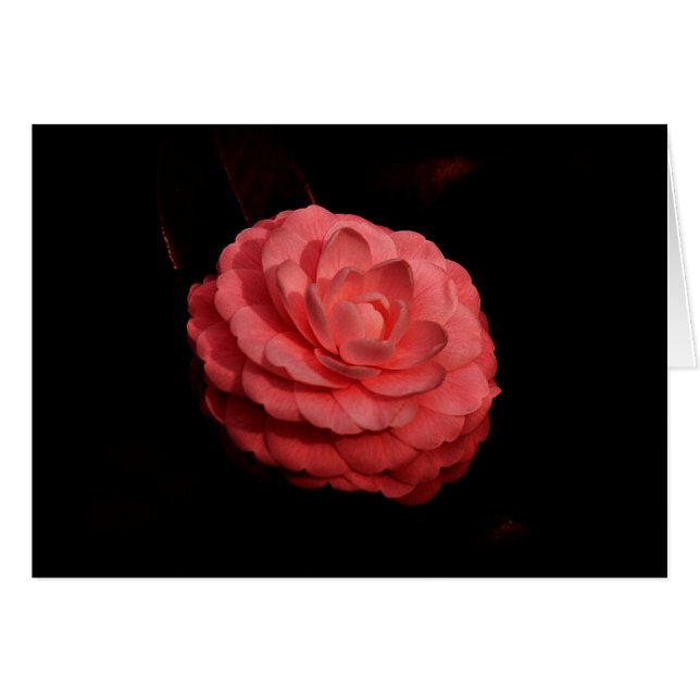 "Fellowship on the path" (Voorkant Horizontaal)